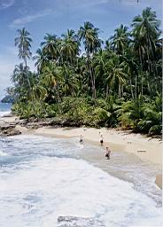 49 Gandoca-Manzanillo playa.jpg